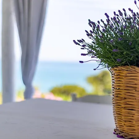 Aparthotel Diamante Costa Dei Trabocchi Vasto